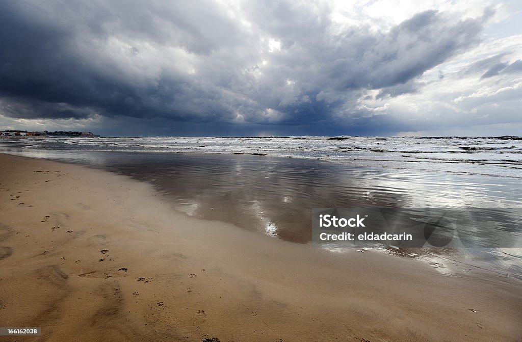 Animal en pistas de la playa de invierno con fregadero - Foto de stock de Agua libre de derechos