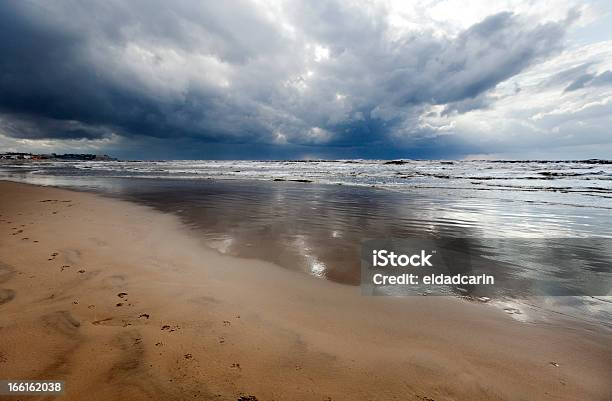 Animal En Pistas De La Playa De Invierno Con Fregadero Foto de stock y más banco de imágenes de Agua