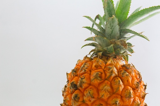 Close-up of a pineapple on a white background