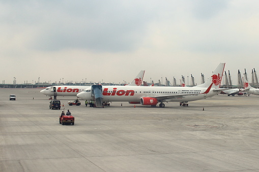 Jakarta, Indonesia - March 24, 2015 - The Boeing 737-900 ER aircraft belonging to Lion Air unloaded its cargo at Soekarno-Hatta Airport, Jakarta, before returning to its flight.