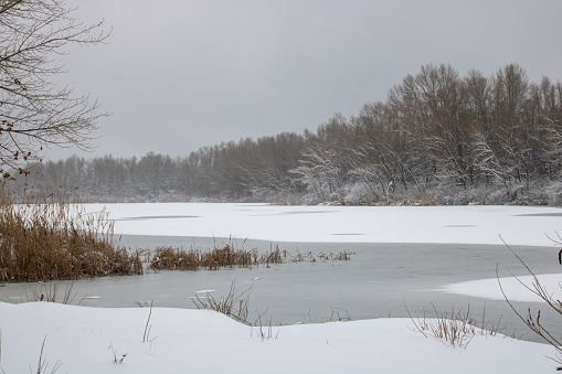 Winter on the ice river.  Winter landscape.