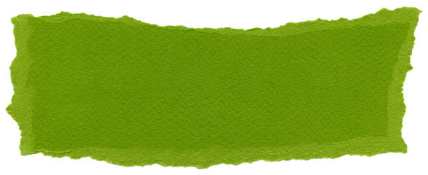 istock Isolated Fiber Paper Texture - Olive Drab XXXXL 166162922