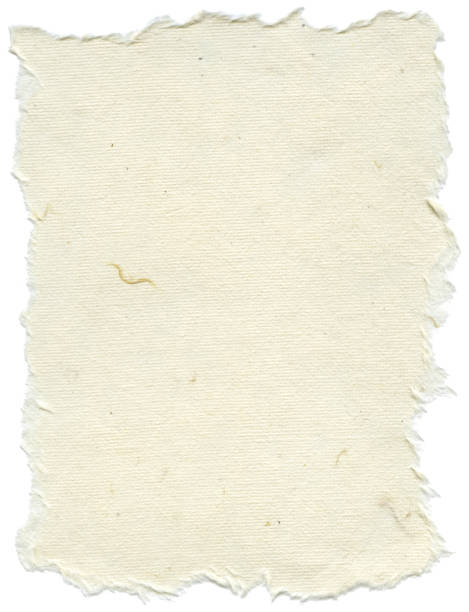 istock Isolated Rice Paper Texture - Cream White XXXXL 166162948