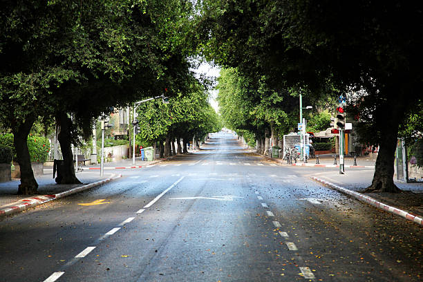 istock An empty street in Tel-Aviv at noon with lush trees  166163037