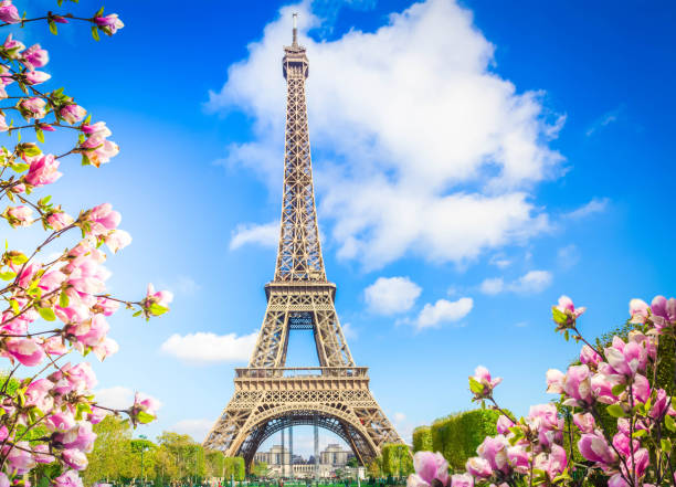 istock eiffel tower, France 1661637291