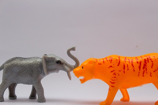 Toddler toys in the shape of tigers and elephants on a white background