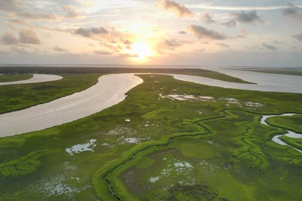 istock there is a sunset on the beach in the background and several river runs across it 1661651517