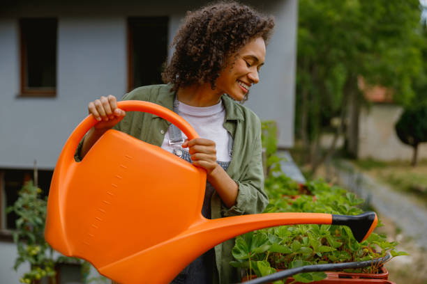 여성 정원사가 정원 센터에 있는 식물에 물을 주고 있다. 지속 가능성과 유기농의 개념 - 유기농의 뉴스 �사진 이미지