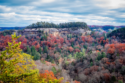 Scenic view of Ravens Rock from the Auxier Ridge Trail in Red River Gorge, Kentucky