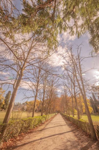 istock Walking in November in Aranjuez Gardens, Madrid, Spain 1661763737
