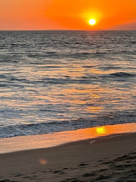 istock Sunset on Venice Beach, California 1661768469