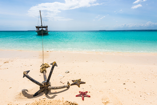 anchor with starfish and boat on the background of blue ocean and sky