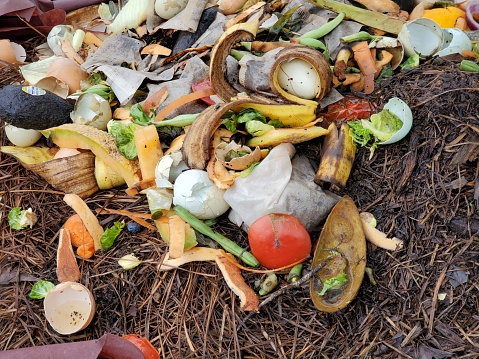 A heap of compost is covered with food scraps outdoors.