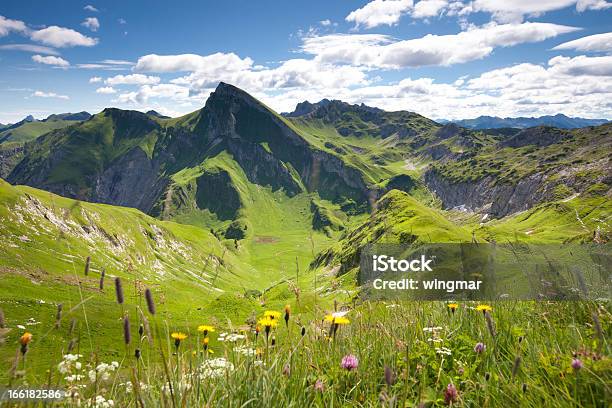 Widok Na Mount Rote Spitze Tannheimer Berge Tyrol Austria - zdjęcia stockowe i więcej obrazów Austria