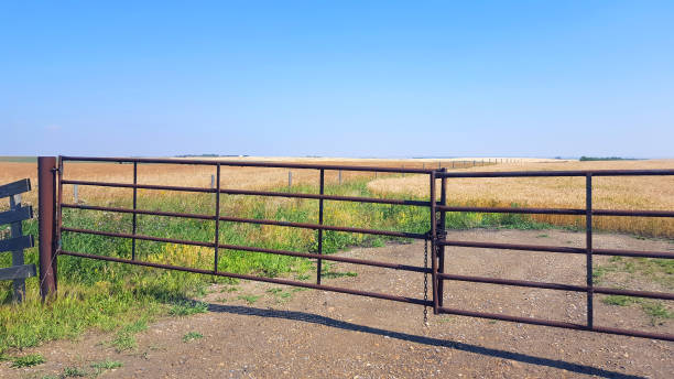 fazenda comum ou portão da pradaria - alberta prairie farm fence - fotografias e filmes do acervo