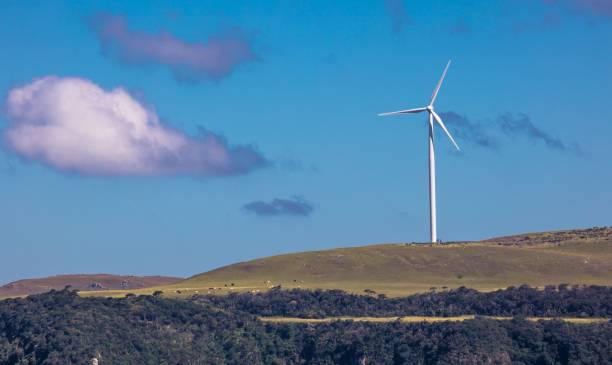 istock Landscape with wind turbines for power generation on a sunny day 1661833980