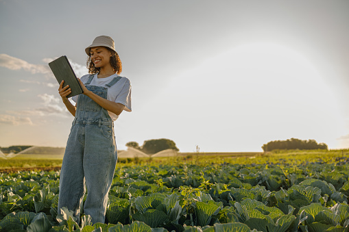 Professional woman agronomist in uniform with digital tablet works in field. High quality photo
