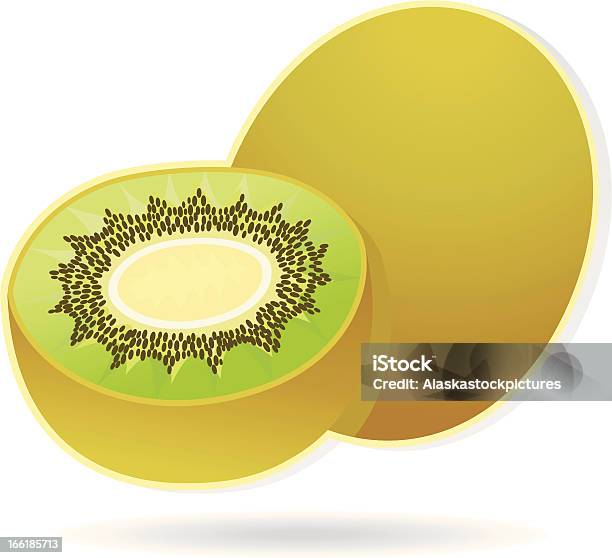 Kiwifruit — стоковая векторная графика и другие изображения на тему Векторная графика - Векторная графика, Витамин C, Еда и напитки