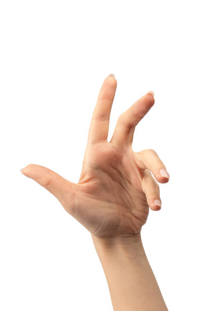 istock Woman hand isolated on a white background. 1661857178