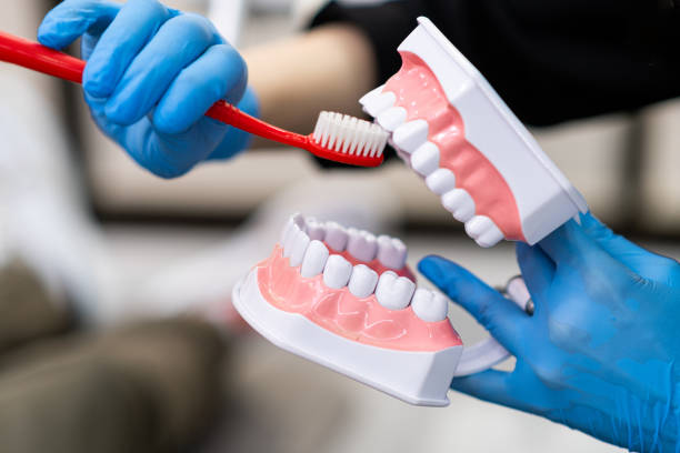 istock Doctor in protective gloves showing teeth brushing process with toothbrush and jaws model 1661857950
