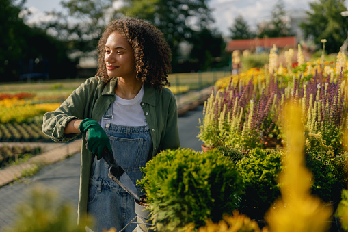 Professional woman garden worker transplants plants and takes care of flowerpots in botanic shop