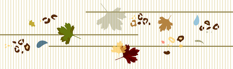 minimalistic horizontal banner with abstract autumn leaves composition, leopard skin patches, jittery shapes in trendy collage style. Illustration  for website design, postcards, cover design