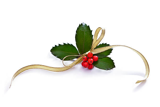 Christmas Holly Christmas Holly with gold ribbon, Isolated on white.  floral garland photos stock pictures, royalty-free photos & images