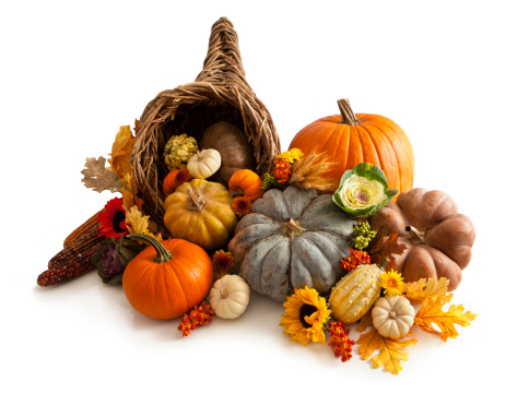 decorative autumn composition with pumpkins and flowers. Celebrating haverst and thanksgiving day.