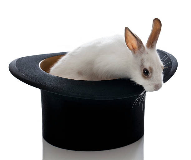 istock White Baby Bunny and Top Hat 166186107