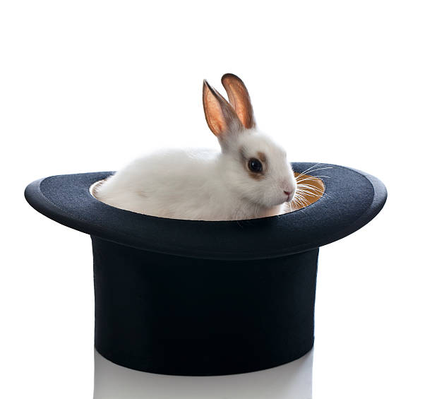 istock White Baby Bunny and Top Hat 166186113