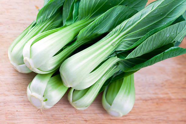 Pakchoi stock photo