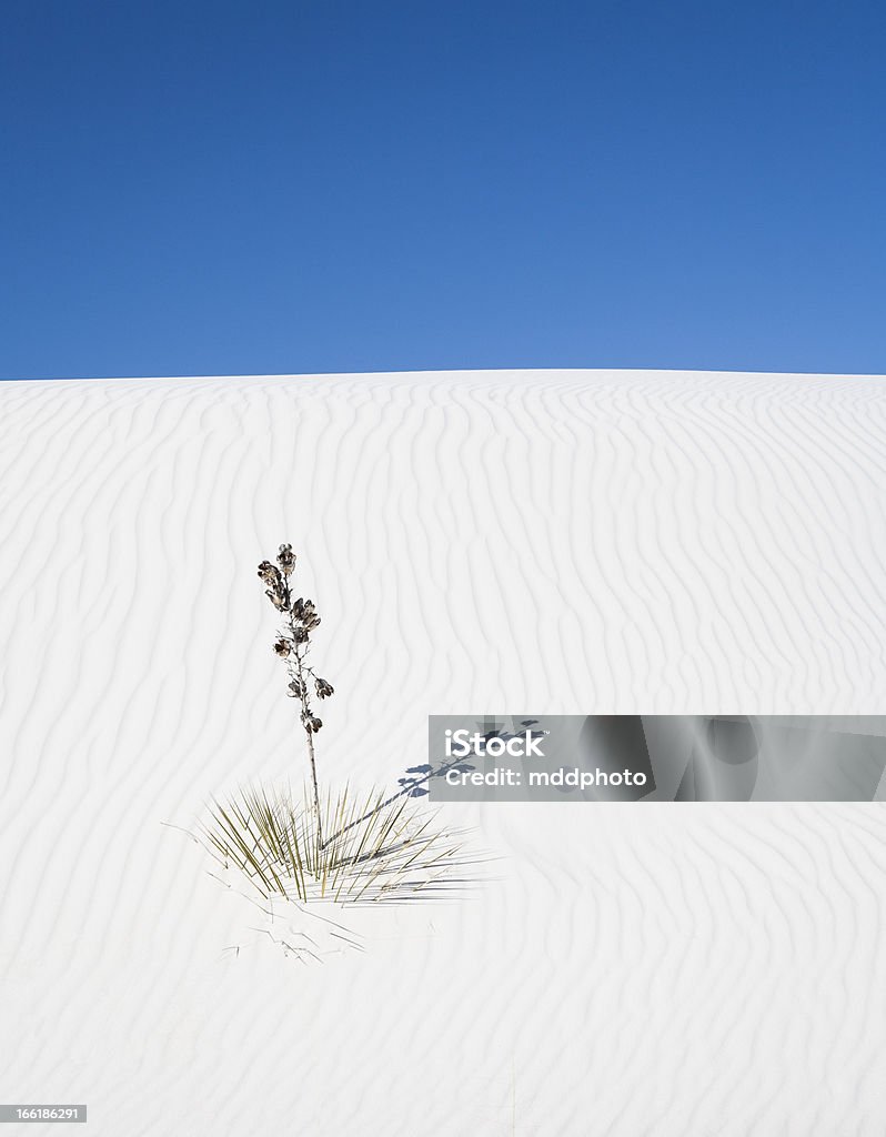 Sands blancas - Foto de stock de Aire libre libre de derechos