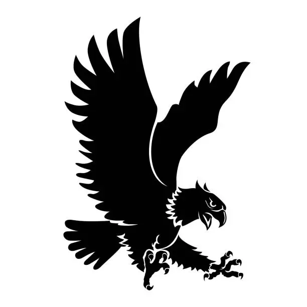 Vector illustration of eagle attacking prey above