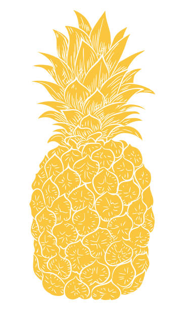 Flat Color Pineapple Silhouette On A Transparent Background - ilustração de arte vetorial