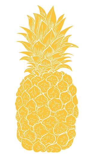 A flat color pineapple silhouette on a transparent base (there is no white in this illustration).