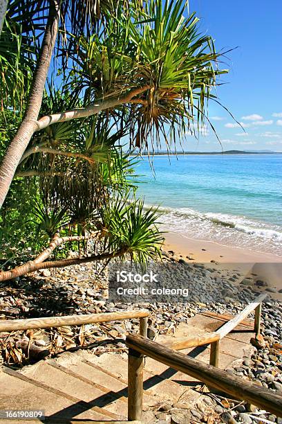 Costa Del Sol Australia Foto de stock y más banco de imágenes de Noosa Heads - Noosa Heads, Playa, Agua