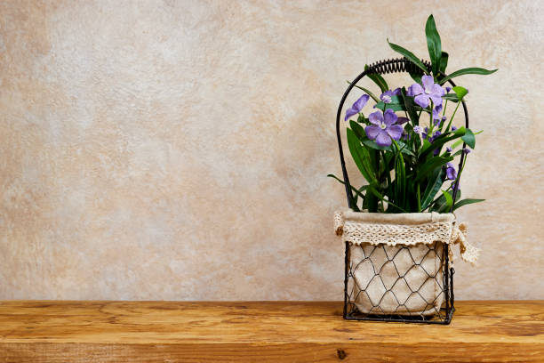 Purple Geranium Flowers basket  on wooden table