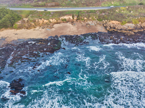 istock Bean Hollow State Beach, California, Drone Photos 1661915283