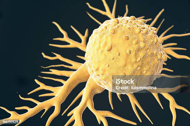 Célula Cancerígena - Fotografias de stock e mais imagens de Célula cancerígena - Célula cancerígena, Célula, Célula humana