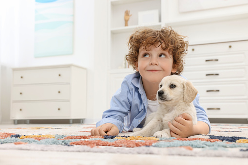 Little boy lying with cute puppy on carpet at home. Space for text