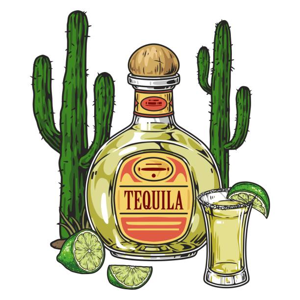 ulotka meksykańska tequila do picia kolorowa - drink mexican culture tequila shot tequila stock illustrations