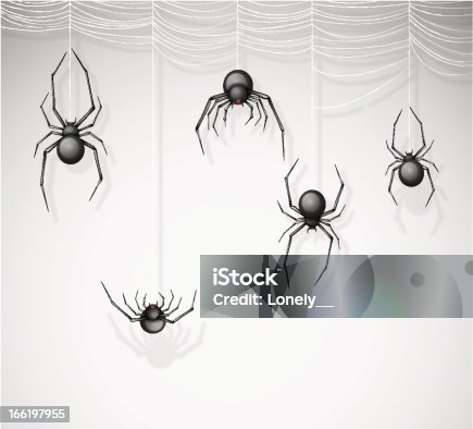 istock The spiders 166197955