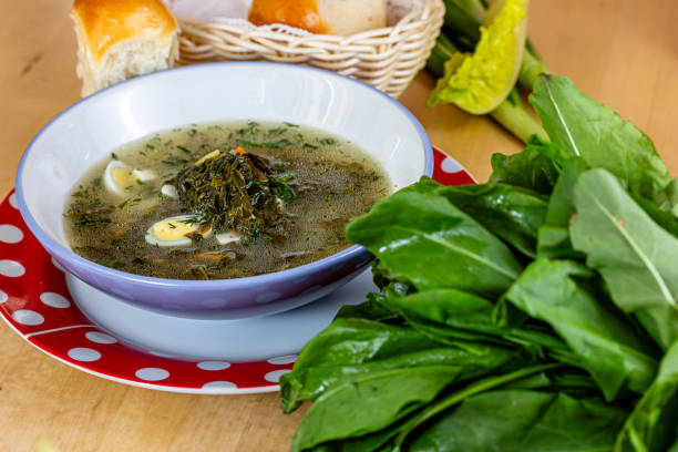 Rustic homemade soup with sorrel and egg, forest greens in spring recipes, rustic blue background. Light, dietary springtime soups