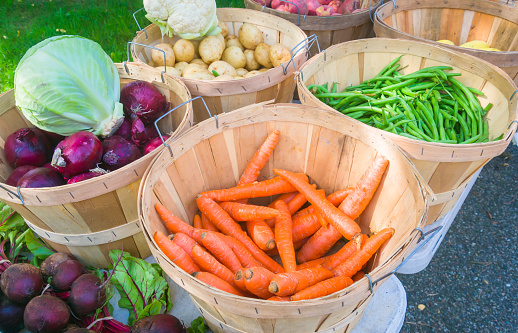 Pile of baby carrots sitting in green bin next to each other.