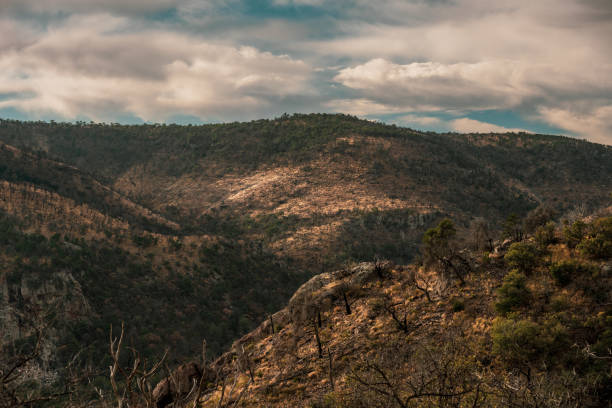 istock Emory Peak Trail Cuts Across Brown Hillside 1662011048