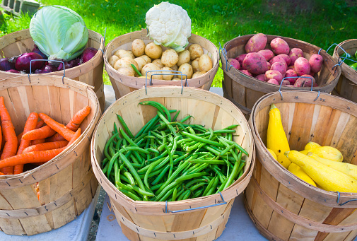 Bushel baskets full of colorful farmers market produce including cabbage, onions,  cauliflower, red and white potatoes, carrots, green beans and yellow summer squash,