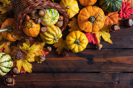 Decorated autumn or thanksgiving cornucopia with pumpkins and leaves on the wooden background