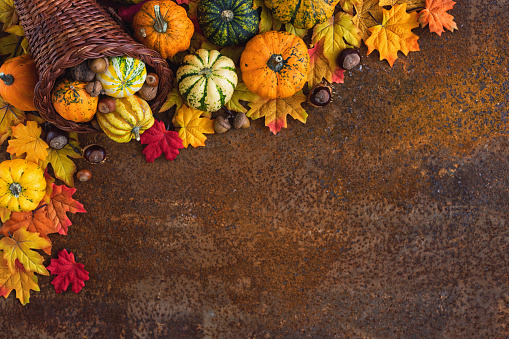 istock Autumn or Thanksgiving decoration 1662029279