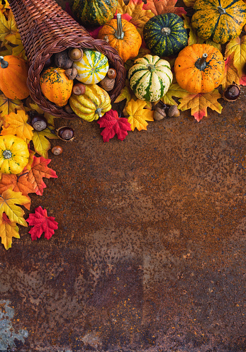 istock Autumn or Thanksgiving decoration 1662029798