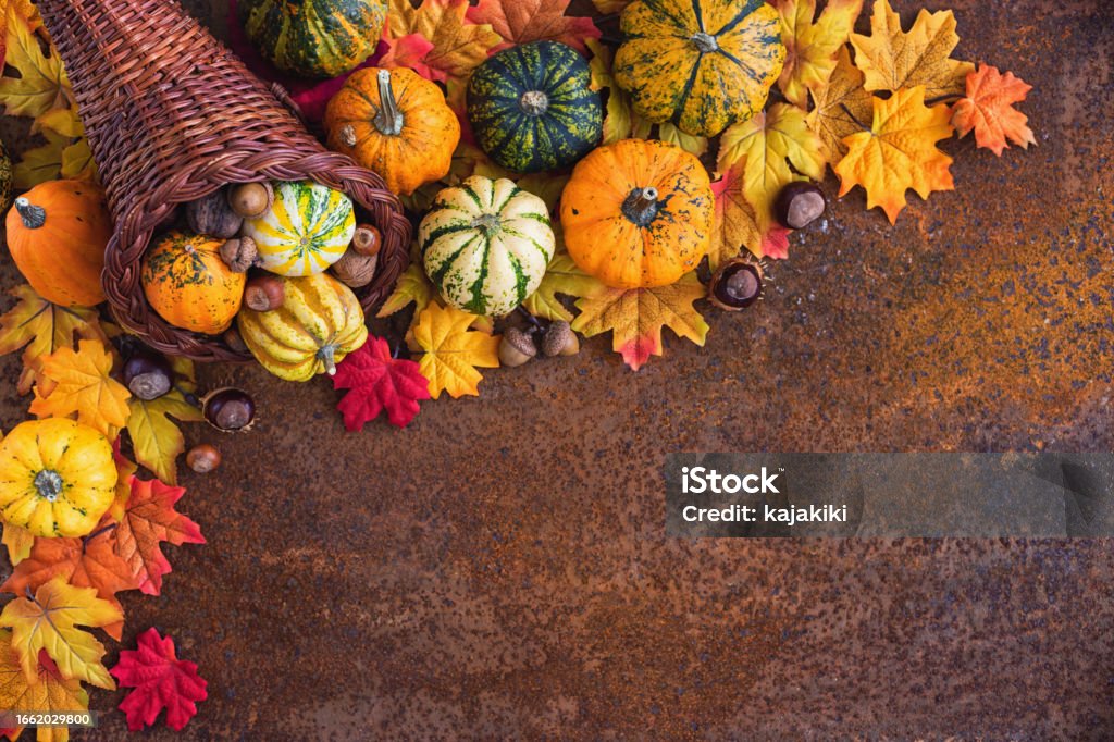 Autumn or Thanksgiving decoration Decorated autumn or thanksgiving cornucopia with pumpkins and leaves on the rustic background Thanksgiving - Holiday Stock Photo